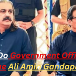 Why Do Government Officials Value Ali Amin Gandapur?