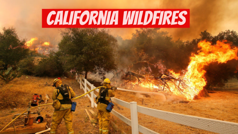 California Wildfires: Political Tension, Climate Change, and Heartbreak 